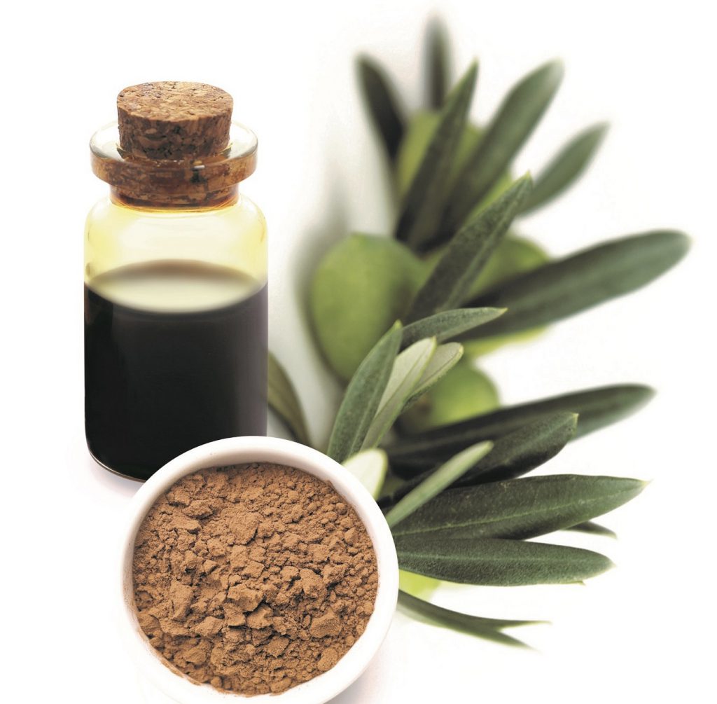 橄榄果提取物（液体型）